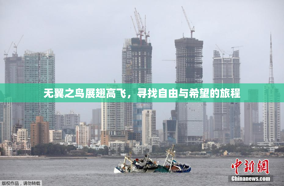 无翼之鸟展翅高飞，寻找自由与希望的旅程