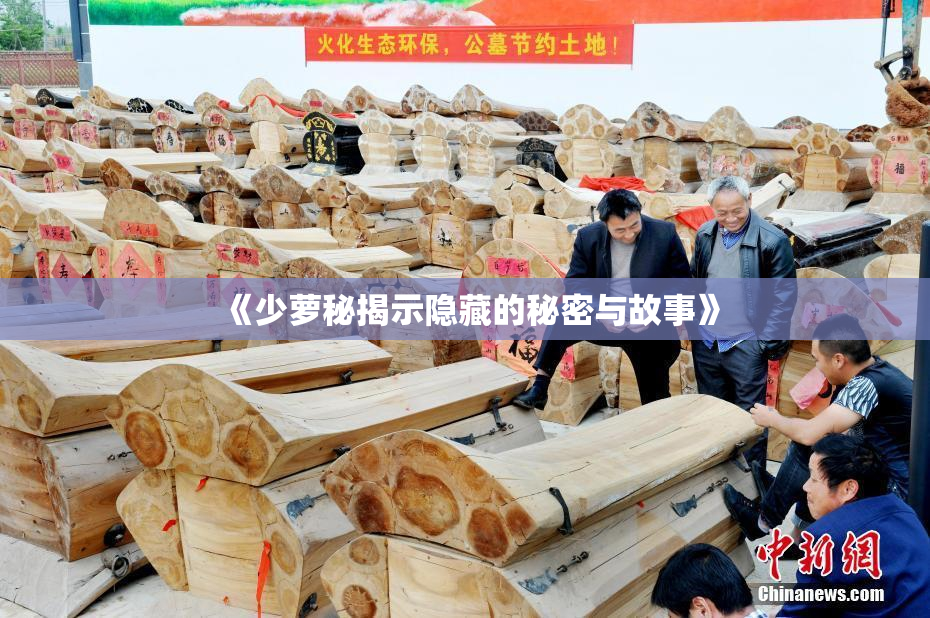 《少萝秘揭示隐藏的秘密与故事》