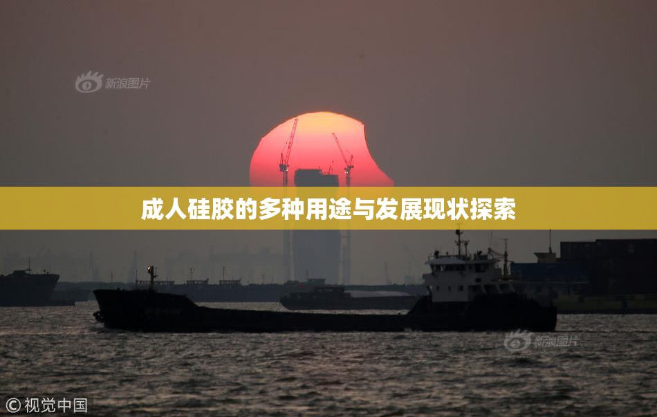 成人硅胶的多种用途与发展现状探索