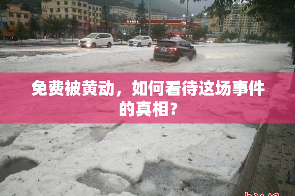 免费被黄动，如何看待这场事件的真相？