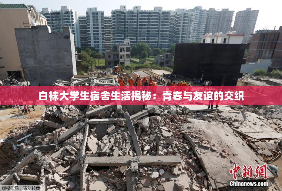 白袜大学生宿舍生活揭秘：青春与友谊的交织