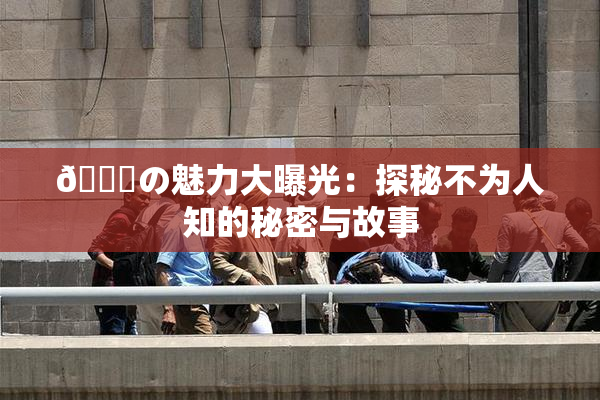 🍆の魅力大曝光：探秘不为人知的秘密与故事