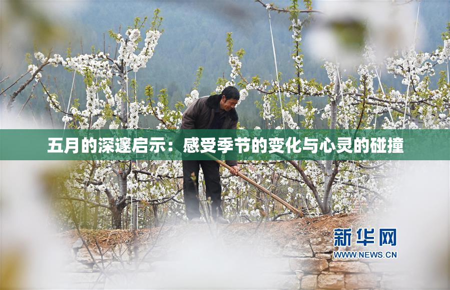 五月的深邃启示：感受季节的变化与心灵的碰撞
