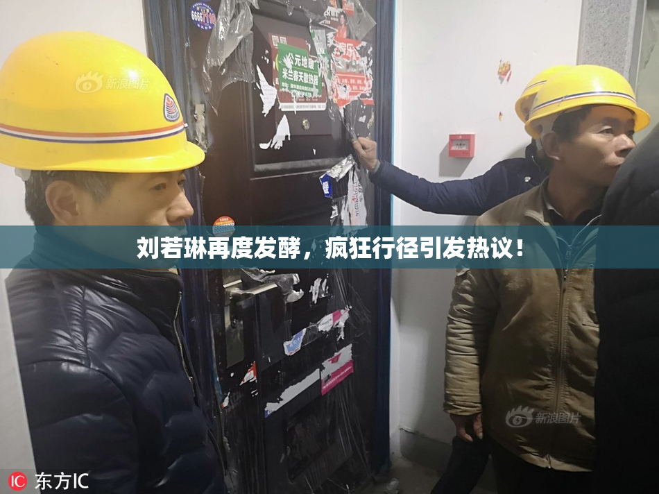 刘若琳再度发酵，疯狂行径引发热议！