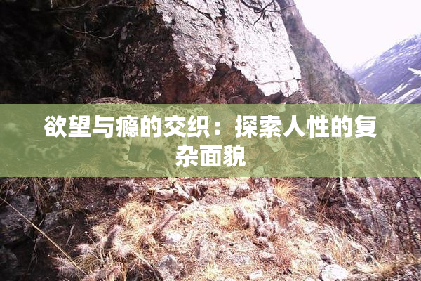 欲望与瘾的交织：探索人性的复杂面貌