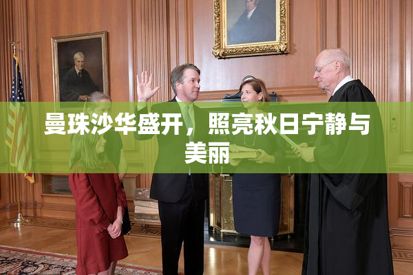 曼珠沙华盛开，照亮秋日宁静与美丽
