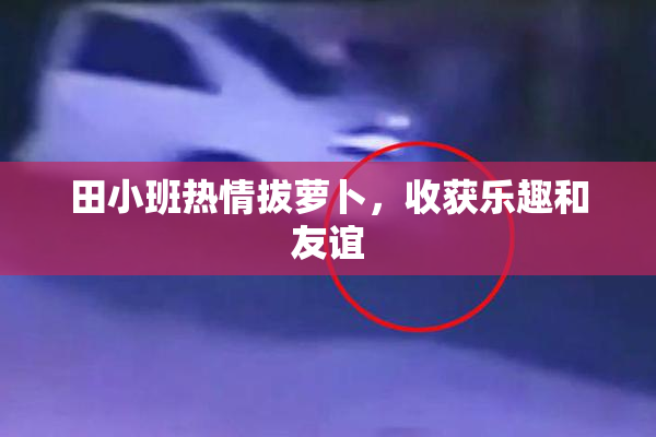 田小班热情拔萝卜，收获乐趣和友谊