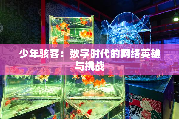 少年骇客：数字时代的网络英雄与挑战