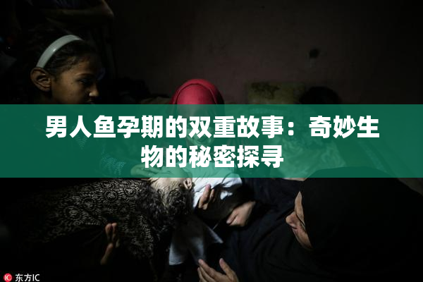 男人鱼孕期的双重故事：奇妙生物的秘密探寻