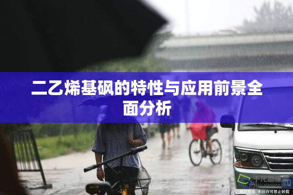 二乙烯基砜的特性与应用前景全面分析