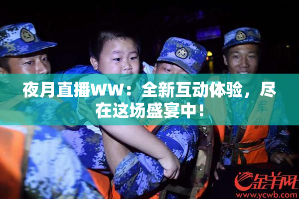 夜月直播WW：全新互动体验，尽在这场盛宴中！