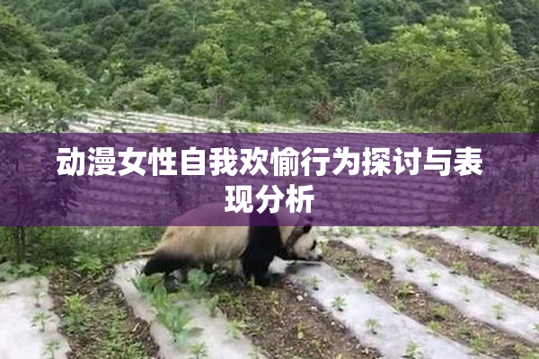 动漫女性自我欢愉行为探讨与表现分析