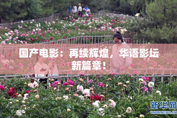 国产电影：再续辉煌，华语影坛新篇章！