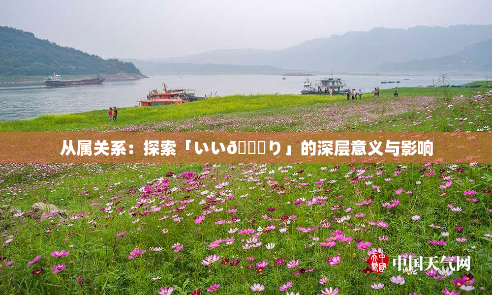 从属关系：探索「いい🍑り」的深层意义与影响
