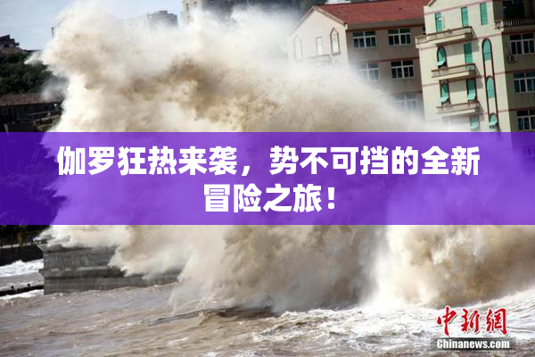 伽罗狂热来袭，势不可挡的全新冒险之旅！