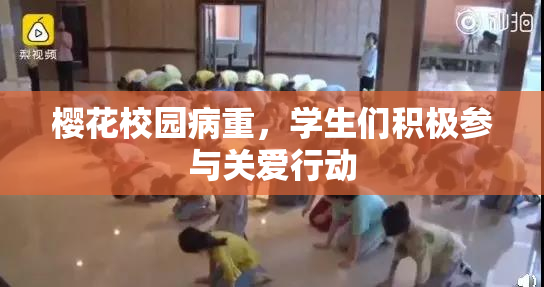 樱花校园病重，学生们积极参与关爱行动