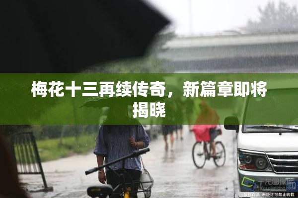梅花十三再续传奇，新篇章即将揭晓