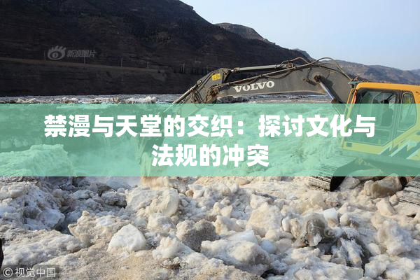 禁漫与天堂的交织：探讨文化与法规的冲突