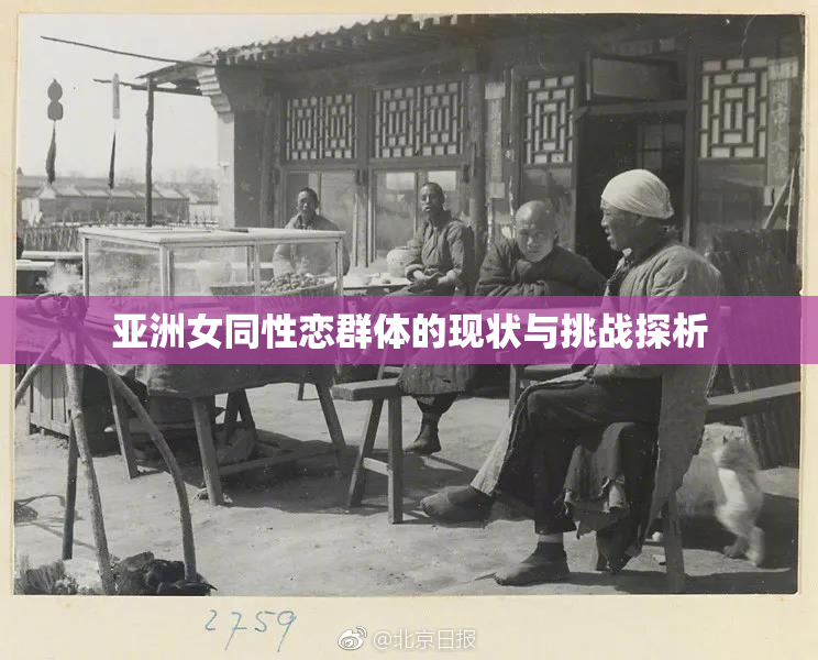 亚洲女同性恋群体的现状与挑战探析