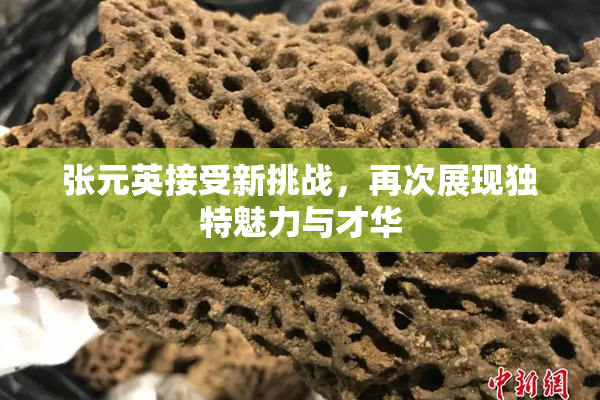 张元英接受新挑战，再次展现独特魅力与才华