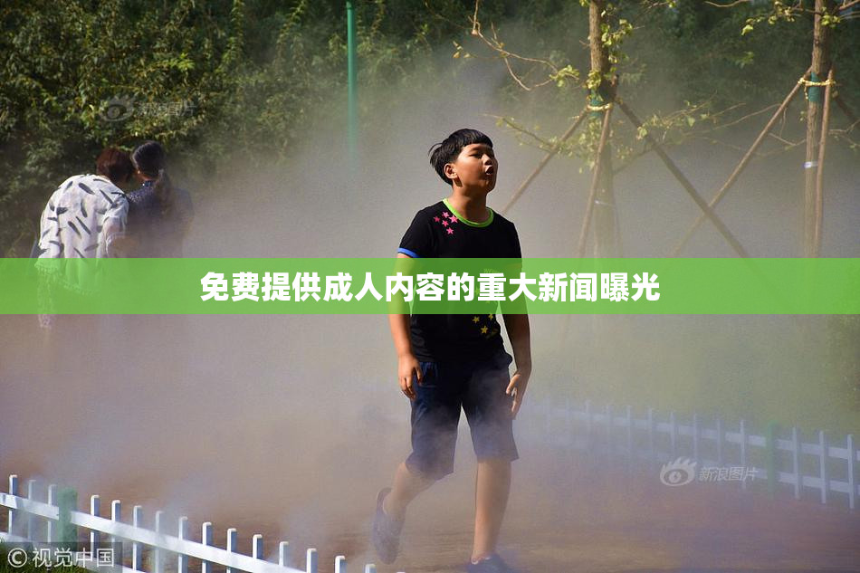 免费提供成人内容的重大新闻曝光