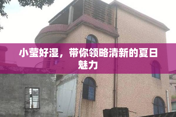 小莹好湿，带你领略清新的夏日魅力