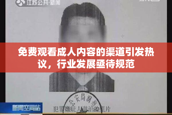 免费观看成人内容的渠道引发热议，行业发展亟待规范