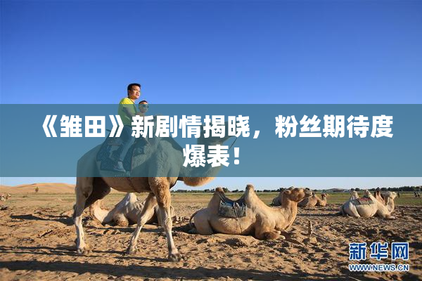 《雏田》新剧情揭晓，粉丝期待度爆表！