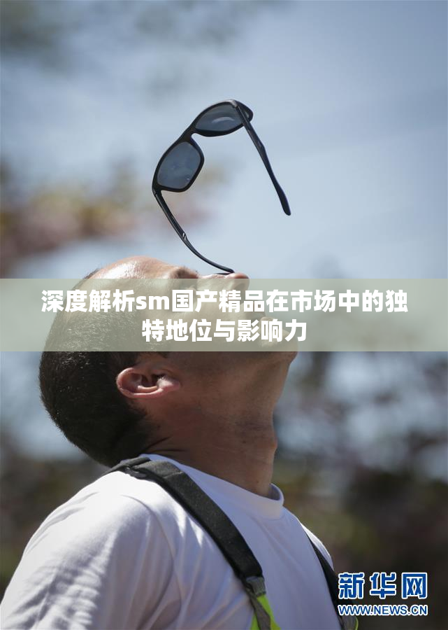 深度解析sm国产精品在市场中的独特地位与影响力