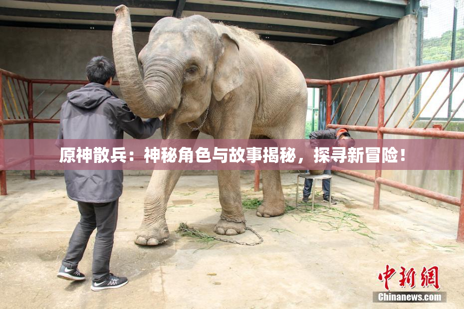 原神散兵：神秘角色与故事揭秘，探寻新冒险！