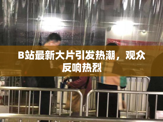 B站最新大片引发热潮，观众反响热烈