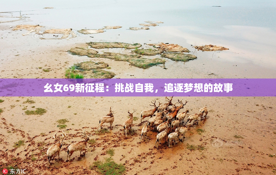 幺女69新征程：挑战自我，追逐梦想的故事
