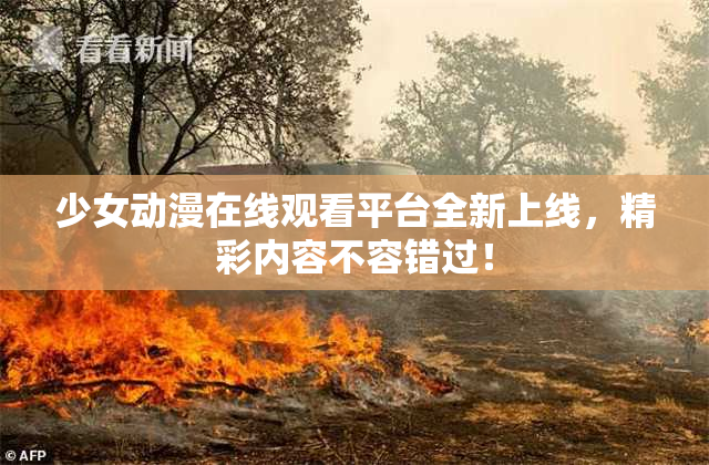 少女动漫在线观看平台全新上线，精彩内容不容错过！