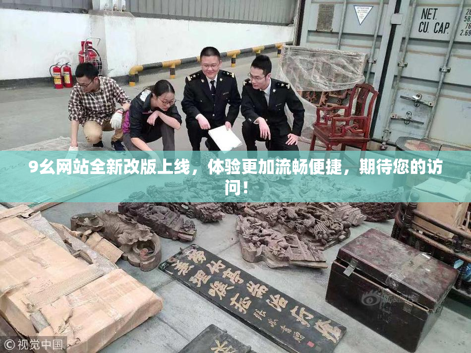 9幺网站全新改版上线，体验更加流畅便捷，期待您的访问！