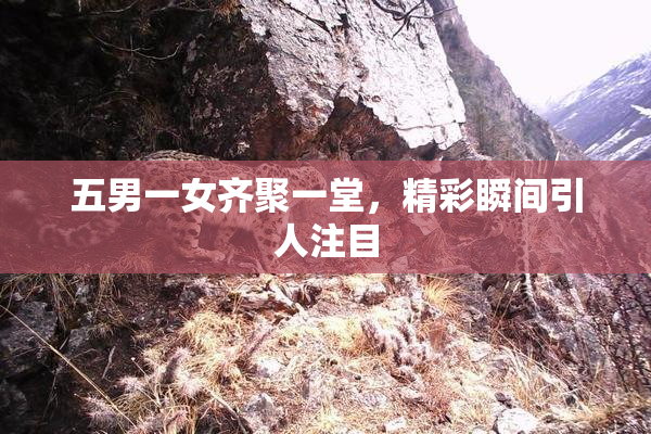 五男一女齐聚一堂，精彩瞬间引人注目