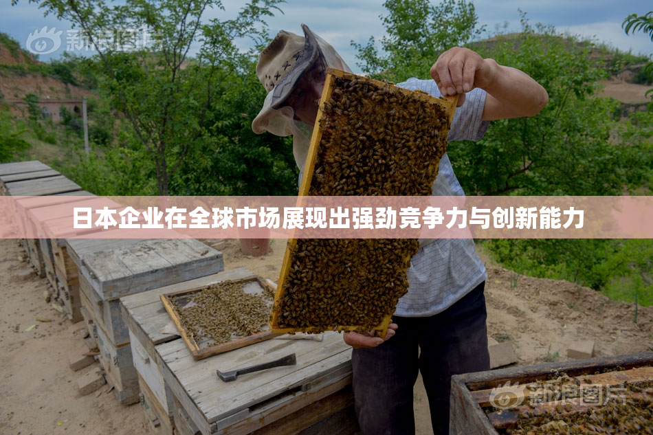 日本企业在全球市场展现出强劲竞争力与创新能力
