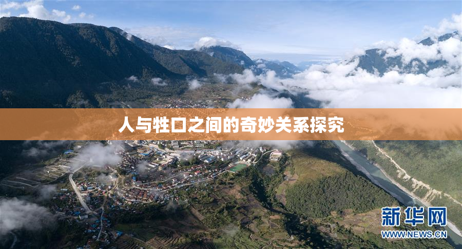 人与牲口之间的奇妙关系探究