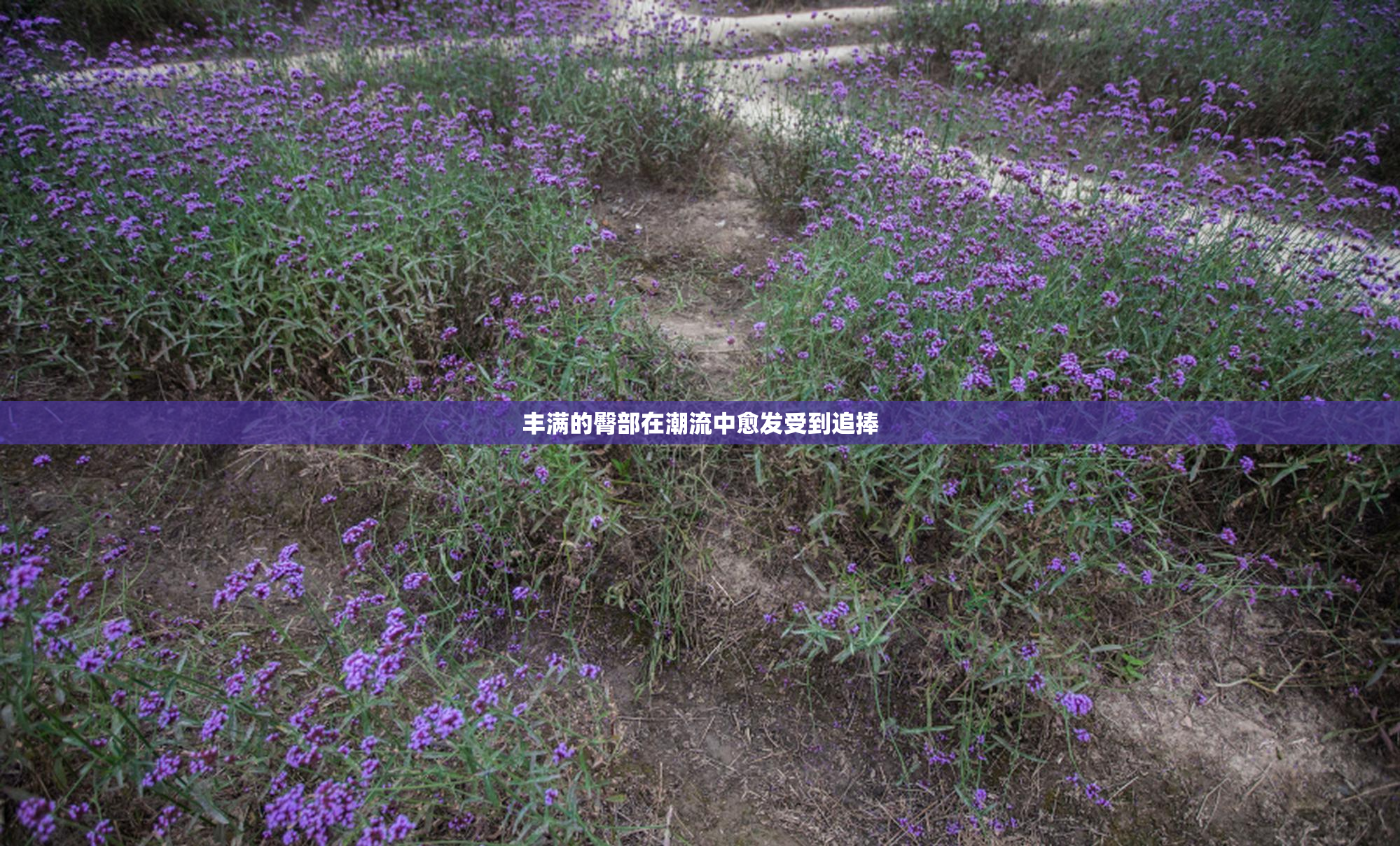丰满的臀部在潮流中愈发受到追捧