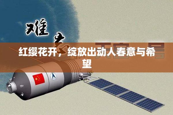 红缨花开，绽放出动人春意与希望
