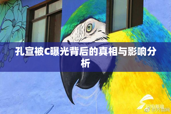 孔宣被C曝光背后的真相与影响分析