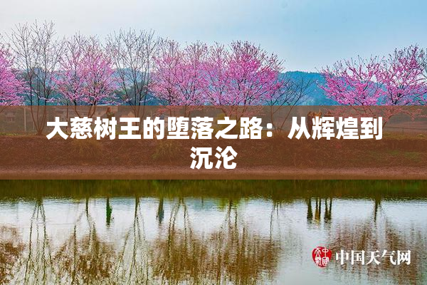 大慈树王的堕落之路：从辉煌到沉沦