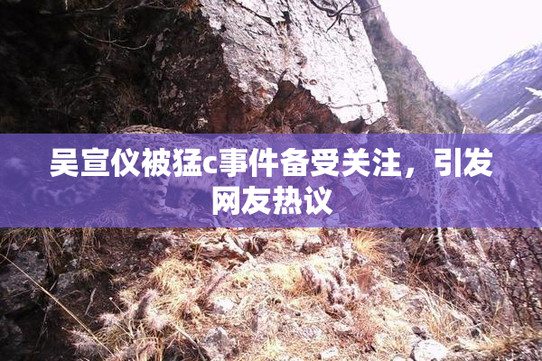 吴宣仪被猛c事件备受关注，引发网友热议