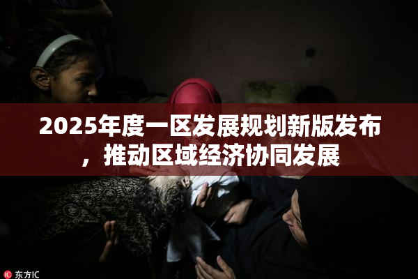 2025年度一区发展规划新版发布，推动区域经济协同发展