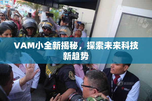 VAM小全新揭秘，探索未来科技新趋势