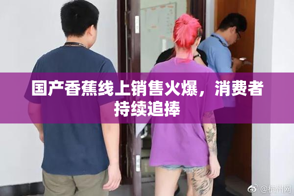 国产香蕉线上销售火爆，消费者持续追捧