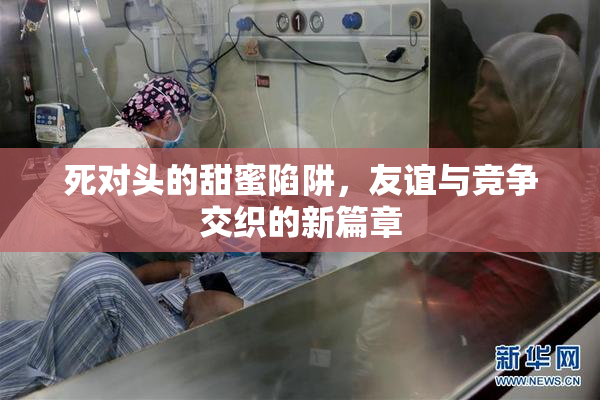 死对头的甜蜜陷阱，友谊与竞争交织的新篇章