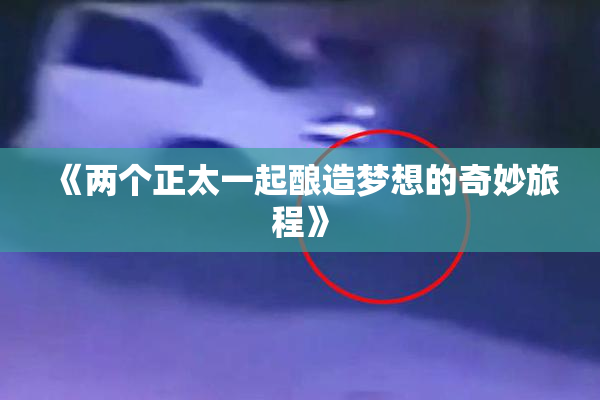 《两个正太一起酿造梦想的奇妙旅程》