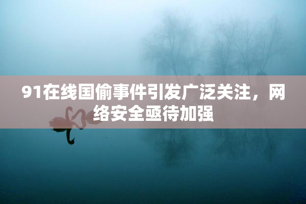 91在线国偷事件引发广泛关注，网络安全亟待加强