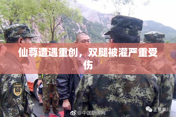 仙尊遭遇重创，双腿被灌严重受伤