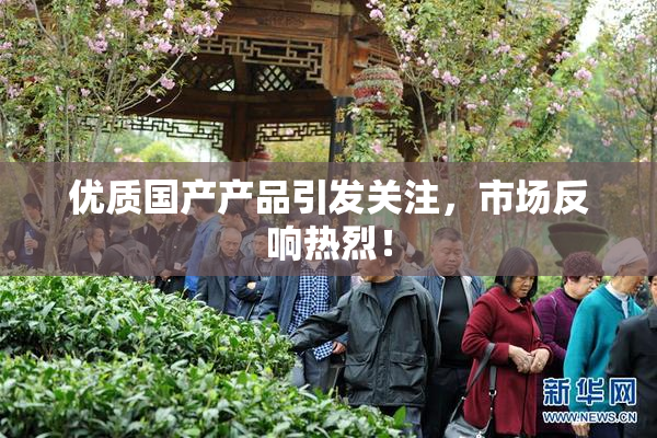 优质国产产品引发关注，市场反响热烈！